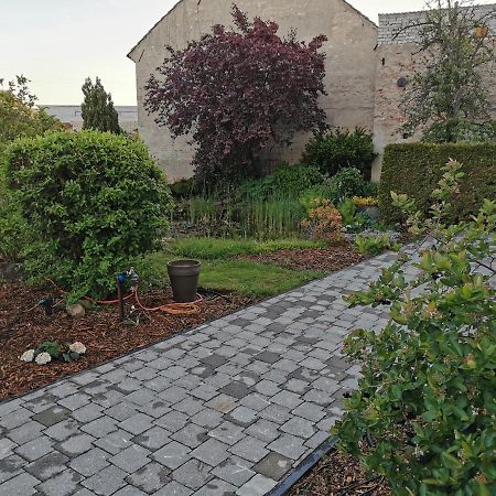 Fewo Rohleder De Mit 130M2 Und Garten Fuer 6Pers Mit 2 Bad คอตต์บุส ภายนอก รูปภาพ