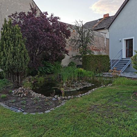 Fewo Rohleder De Mit 130M2 Und Garten Fuer 6Pers Mit 2 Bad คอตต์บุส ภายนอก รูปภาพ
