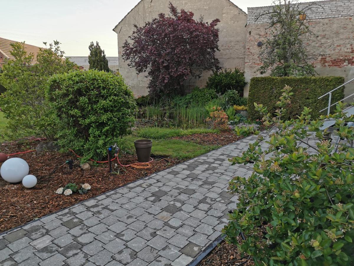 Fewo Rohleder De Mit 130M2 Und Garten Fuer 6Pers Mit 2 Bad คอตต์บุส ภายนอก รูปภาพ