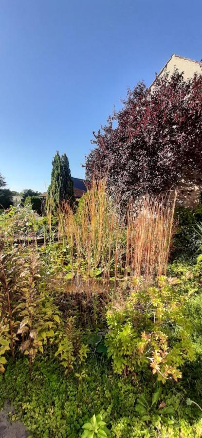 Fewo Rohleder De Mit 130M2 Und Garten Fuer 6Pers Mit 2 Bad คอตต์บุส ภายนอก รูปภาพ